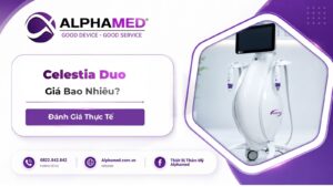 Celestia Duo Giá Bao Nhiêu