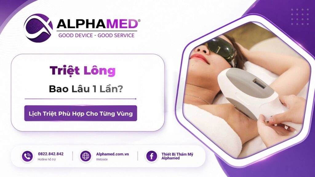 Triệt Lông Bao Lâu 1 Lần? Lịch Triệt Phù Hợp Cho Từng Vùng